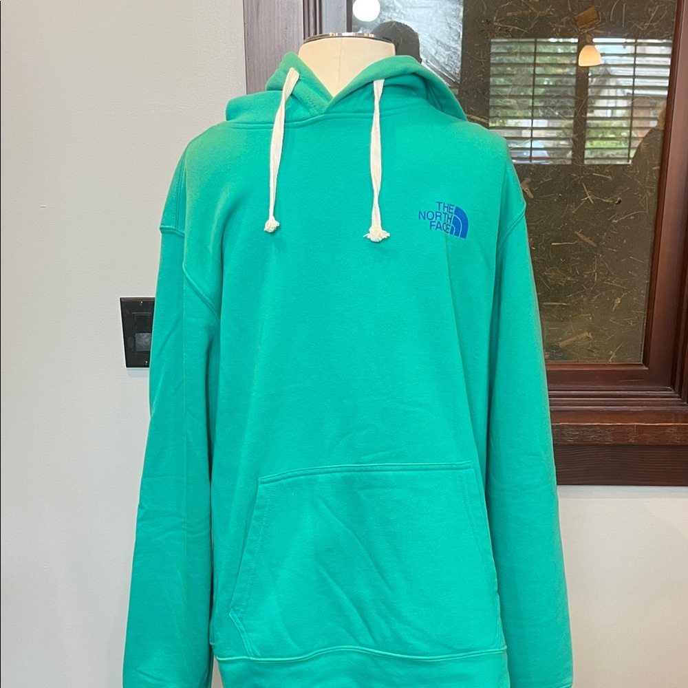 The North Face Men's Teal Hoodie